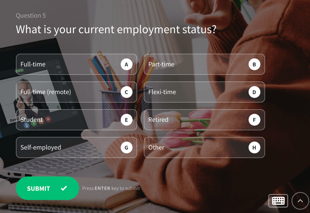 Demographic survey question: employment status